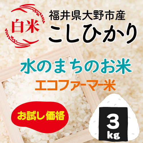 ★お試し ★新米【白米】 3kg こしひかり エコファーマー米 減農薬・減化学肥料 令和５年産 福井県大野産 送料込価格−水のまちのお米−