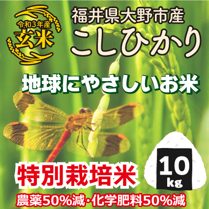 越前おおの結楽座オンラインショップ 玄米 10kg こしひかり 特別栽培米 4 減農薬 減化学肥料 令和3年産 福井県大野産 送料込価格 地球にやさしいお米